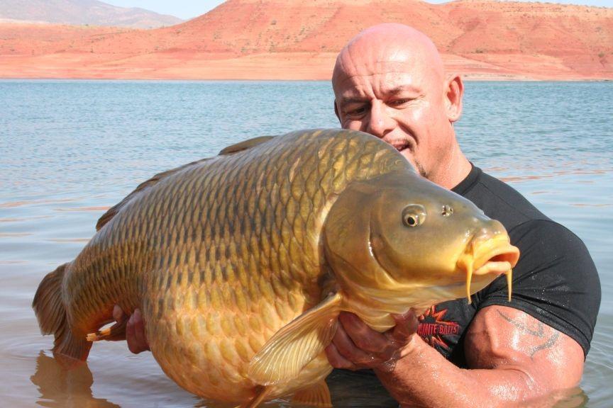 Ardy Veltkamp - 485360343550192417609258218379n.jpg